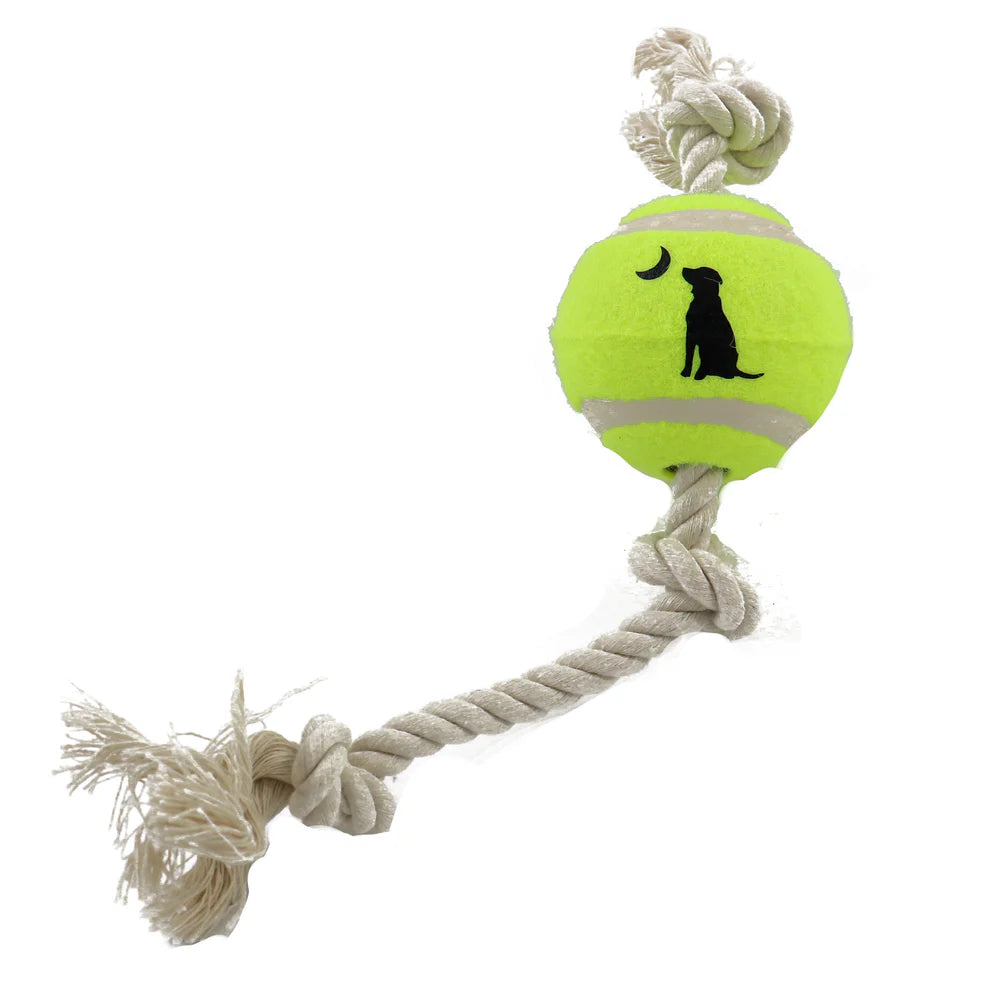 Local Boy Rope and Tennis Ball Toy
