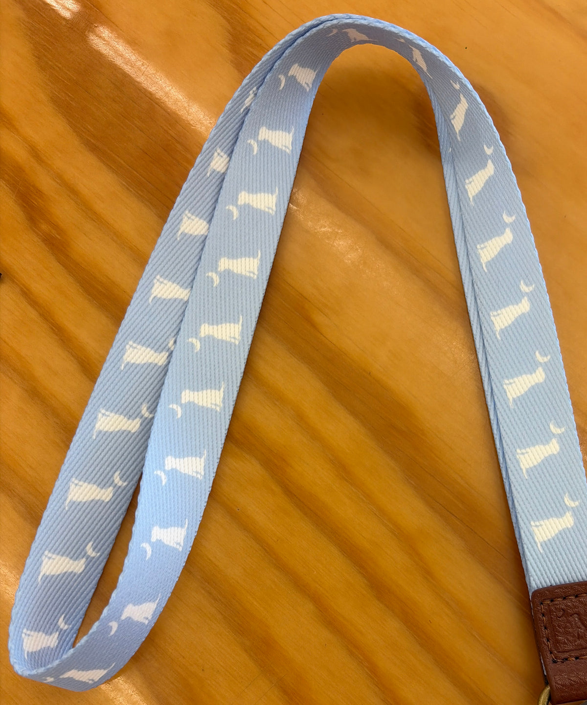 Local Boy Outfitters Lanyard | Periwinkle