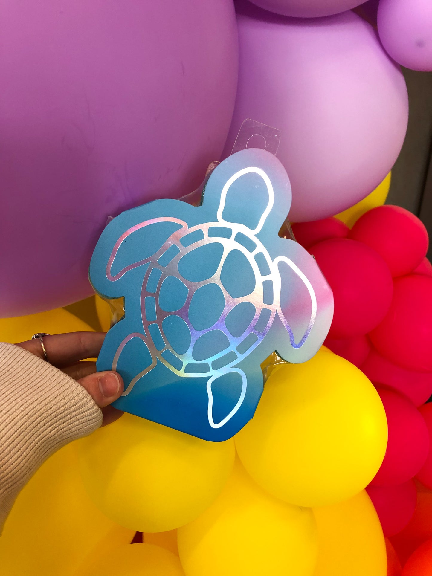 Shaped Bath Sponge- Turtle