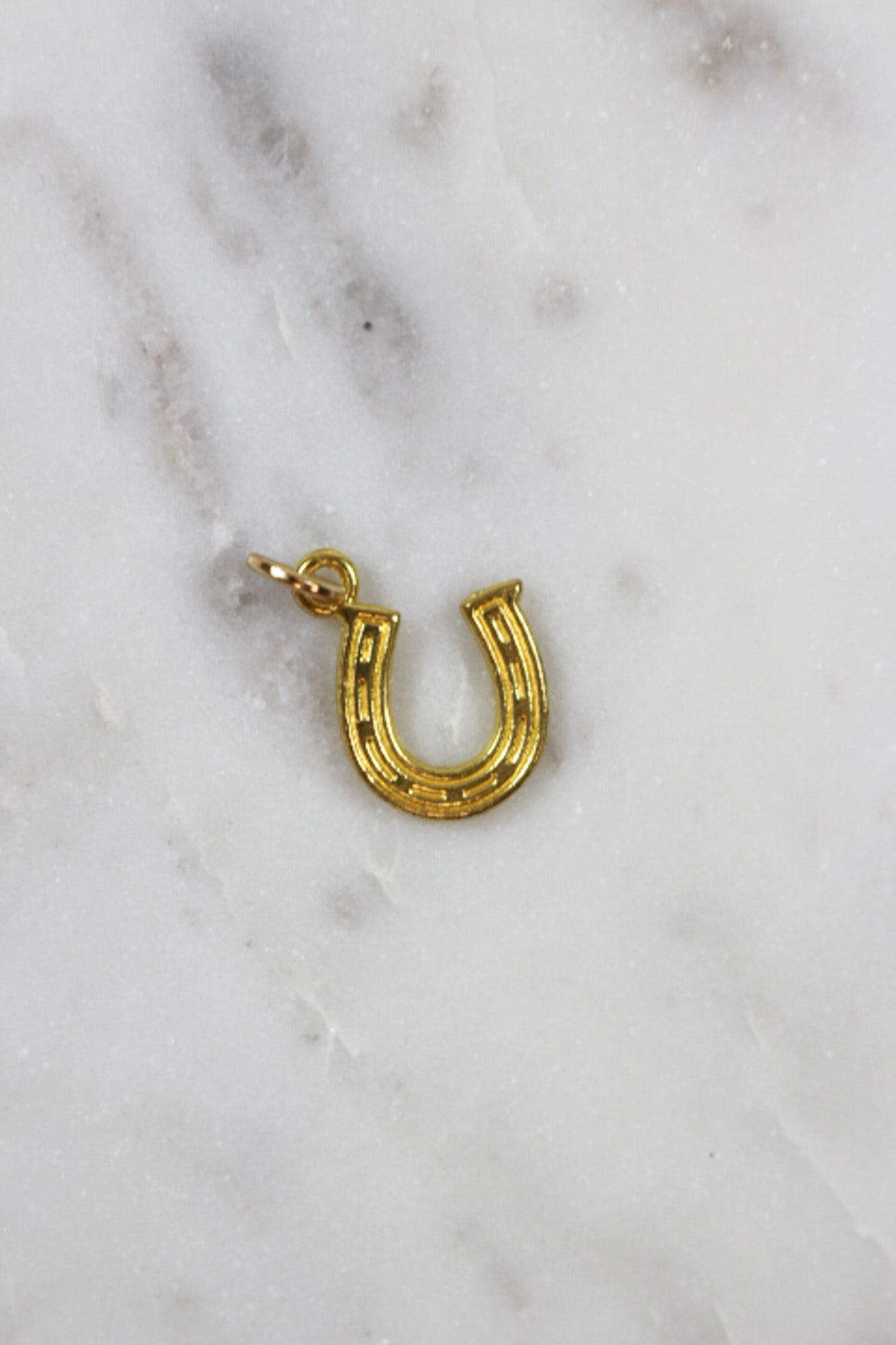 Gold Horse Shoe Charm