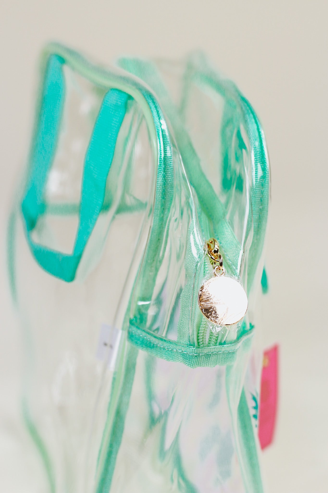 Mint Pineapple Clear Lunch Bag