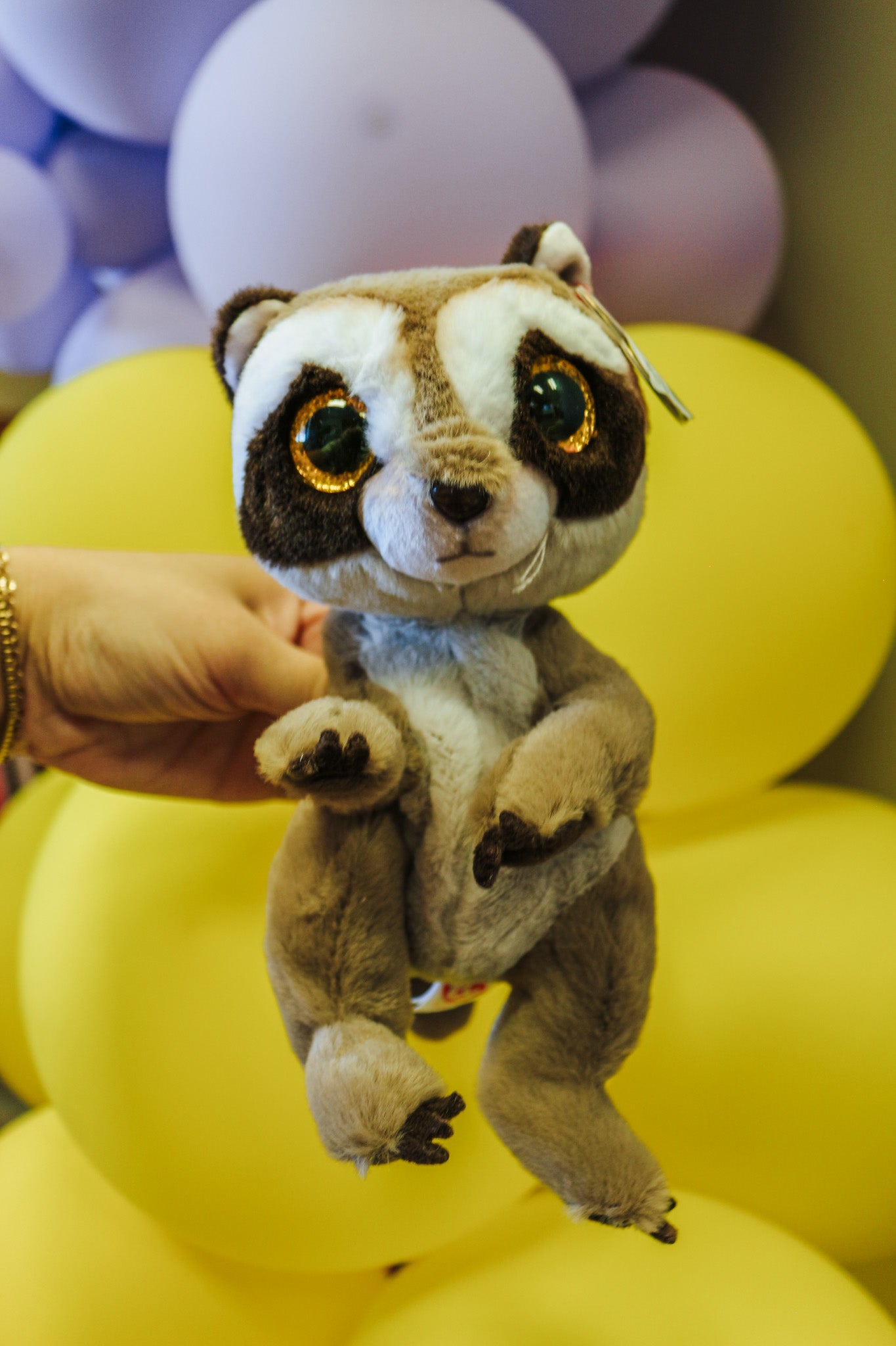 Petey Raccoon Beanie Baby – Dales Clothing Inc