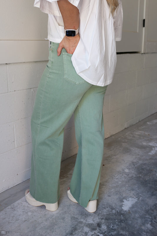 Fiona High Rise Cut Off Jeans -2 Colors