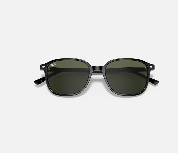 Leonard Black Green Ray Ban Sunglasses