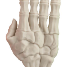 Mud Pie spooky Halloween hands decor, shown in one of four available colors