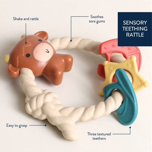 Ritzy Rattle Silicone Teether Rattle