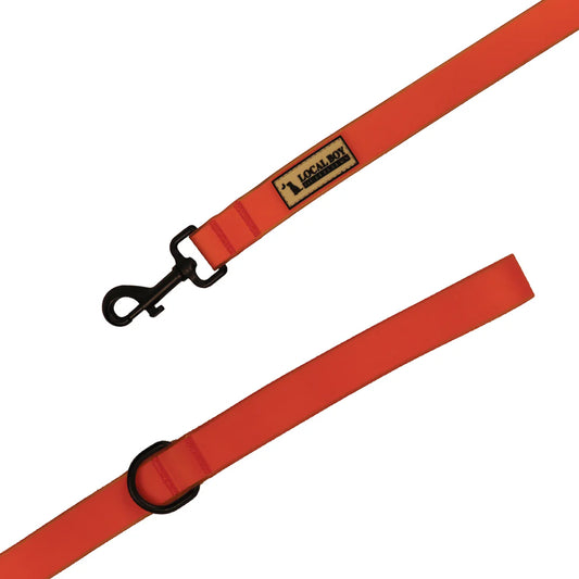 Local Boy Original Dog Leash -2 Colors