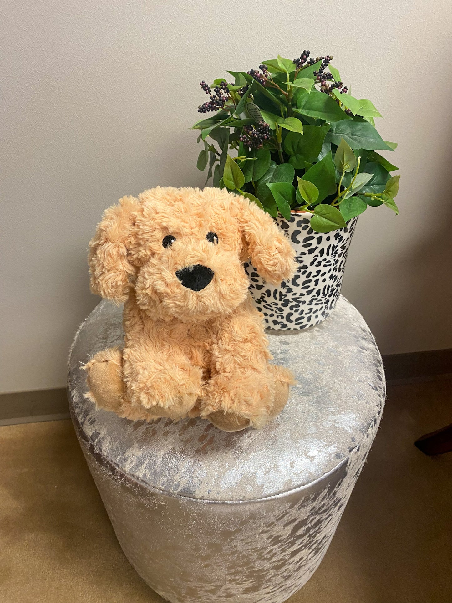 Large Golden Dog Warmies