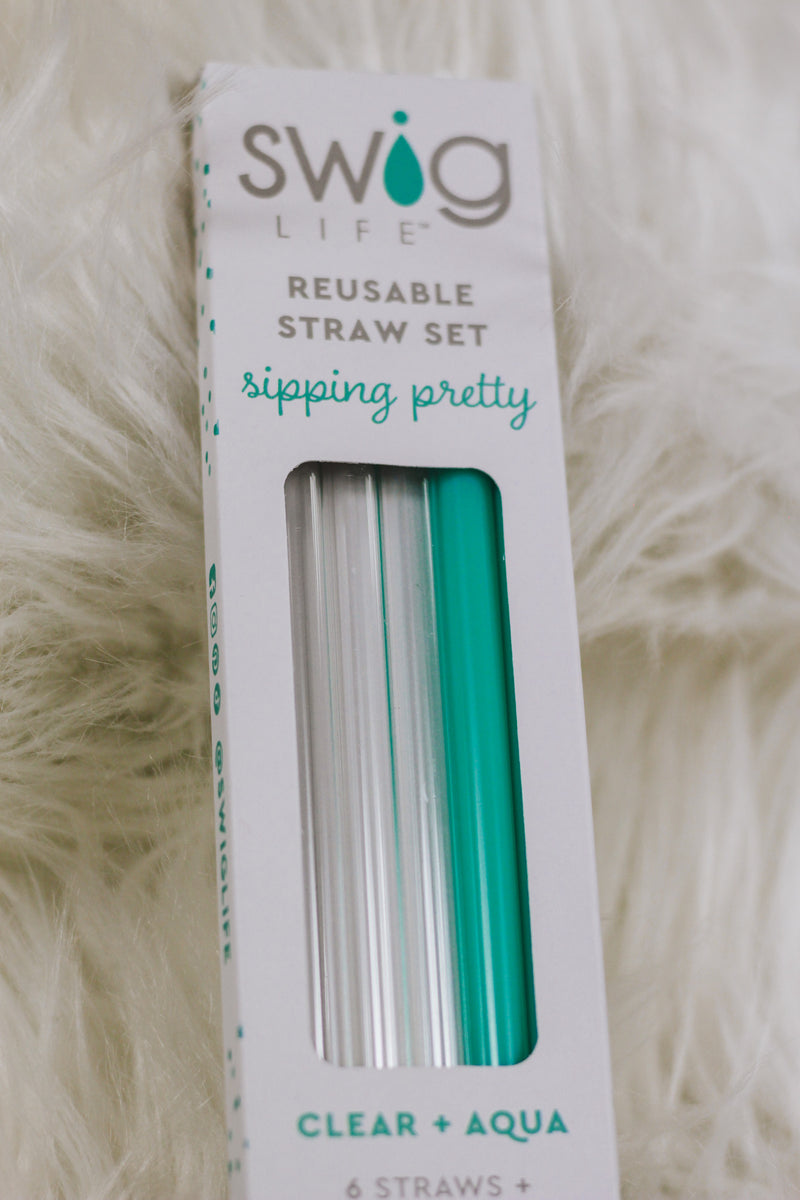 Clear + Aqua Reusable Straw Set Swig – Dales Clothing Inc