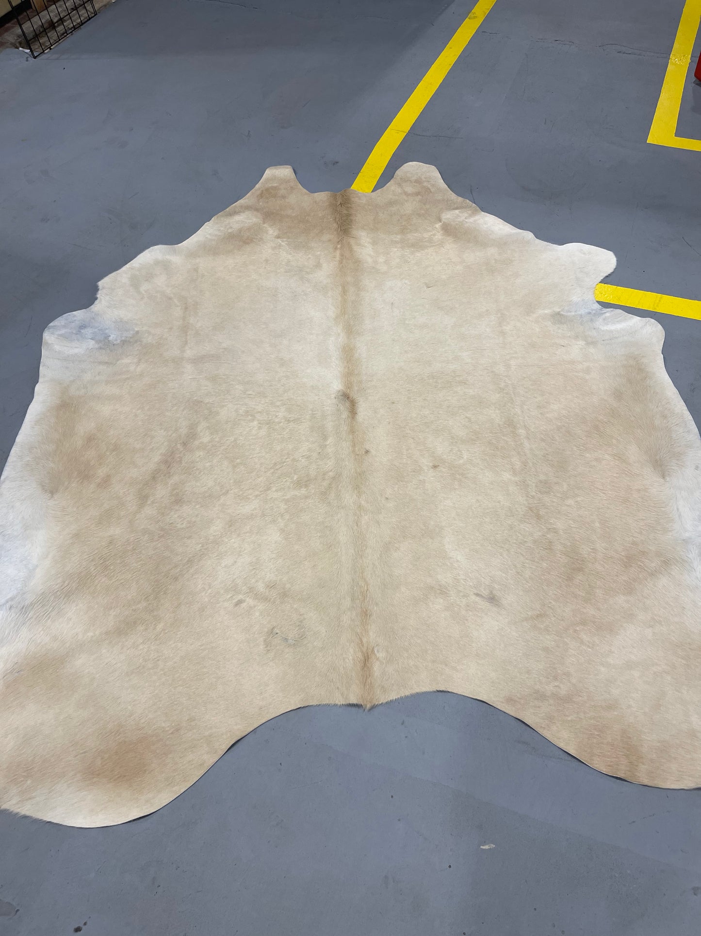 Ultra Cream Jumbo Cowhide Rug