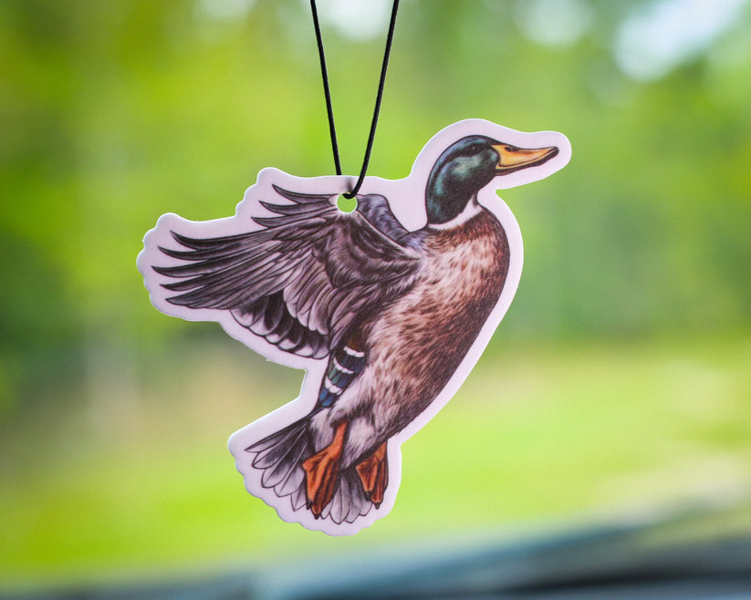 Home/Gift: Car Freshies