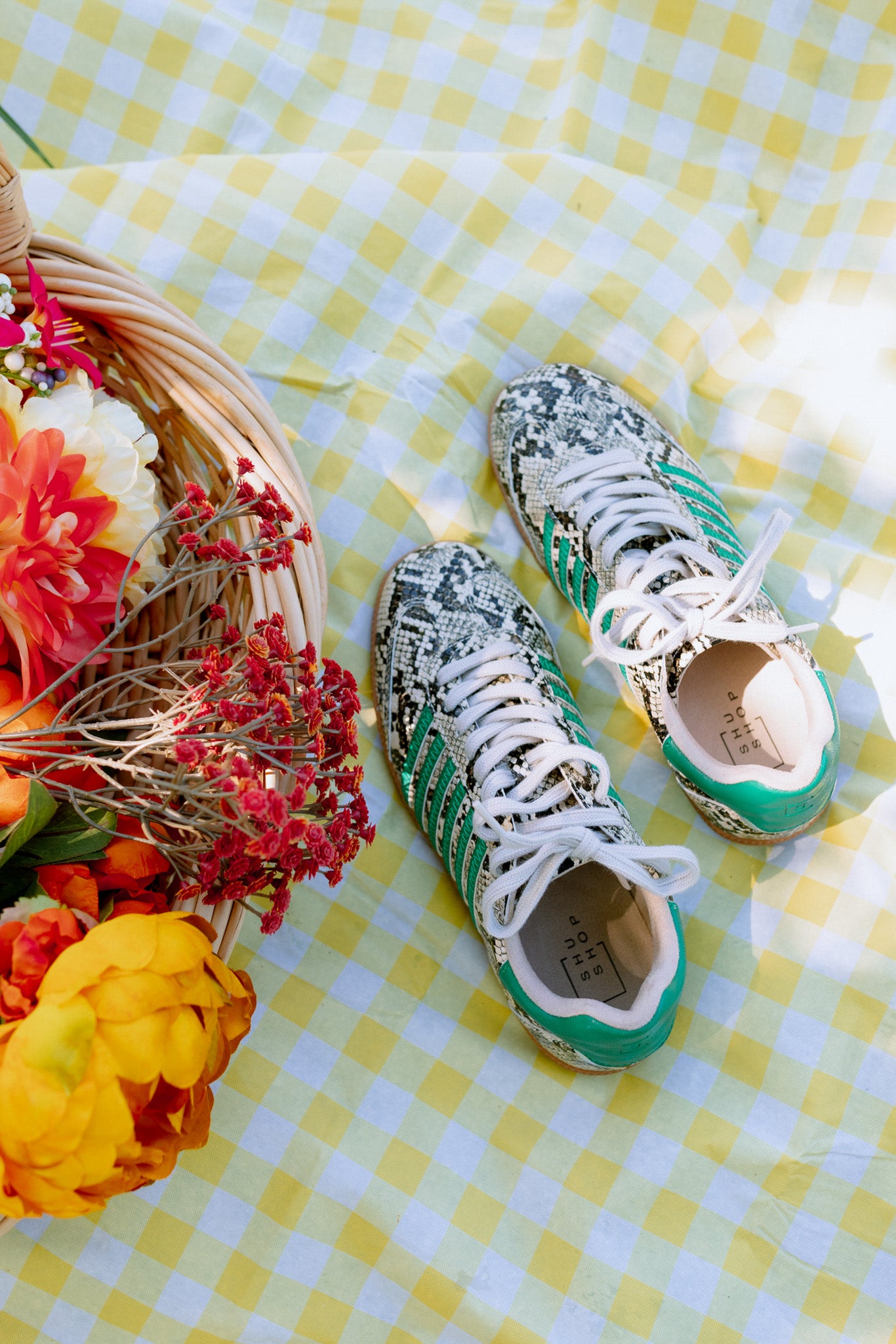 Stevie Sneaker By ShuShop -4 Colors – Dales Clothing Inc