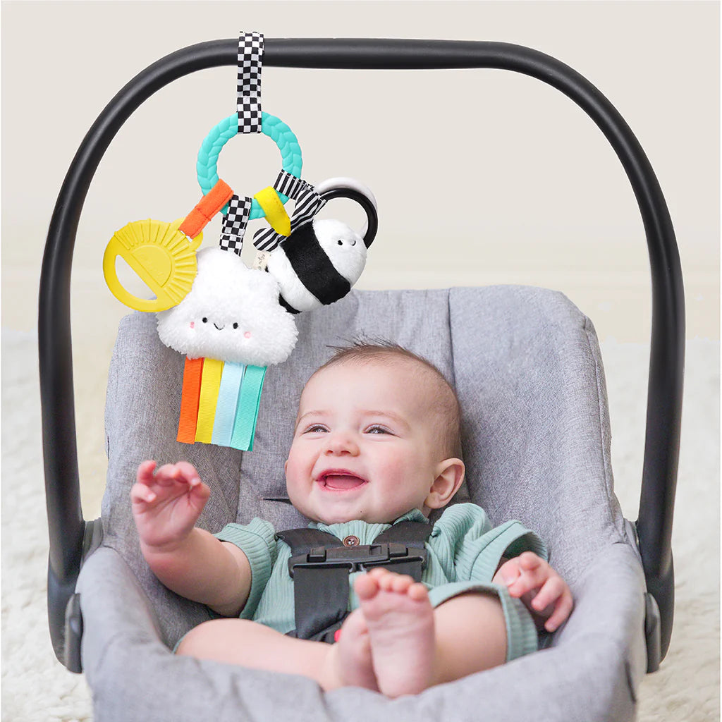 High Contrast Bitzy Busy Ring™ Teething Activity Toy