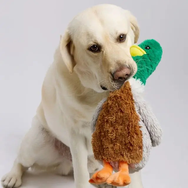 Mallard Pet Toy Warmies - For Pets