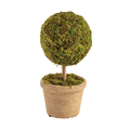 Moss Covered Topiary -3 Sizes