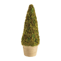 Moss Covered Topiary -3 Sizes