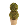 Moss Covered Topiary -3 Sizes
