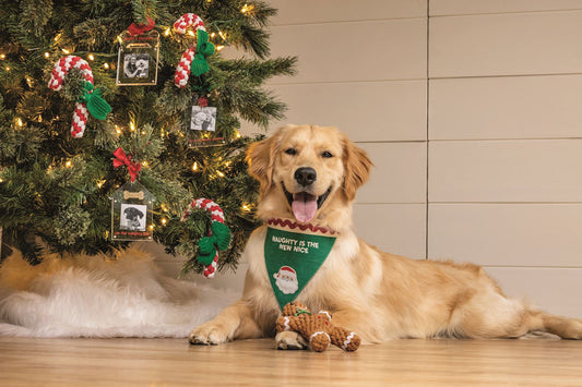 Christmas Rope Pet Toy -4 Colors