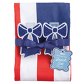 Americana Quick Dry Beach Towel