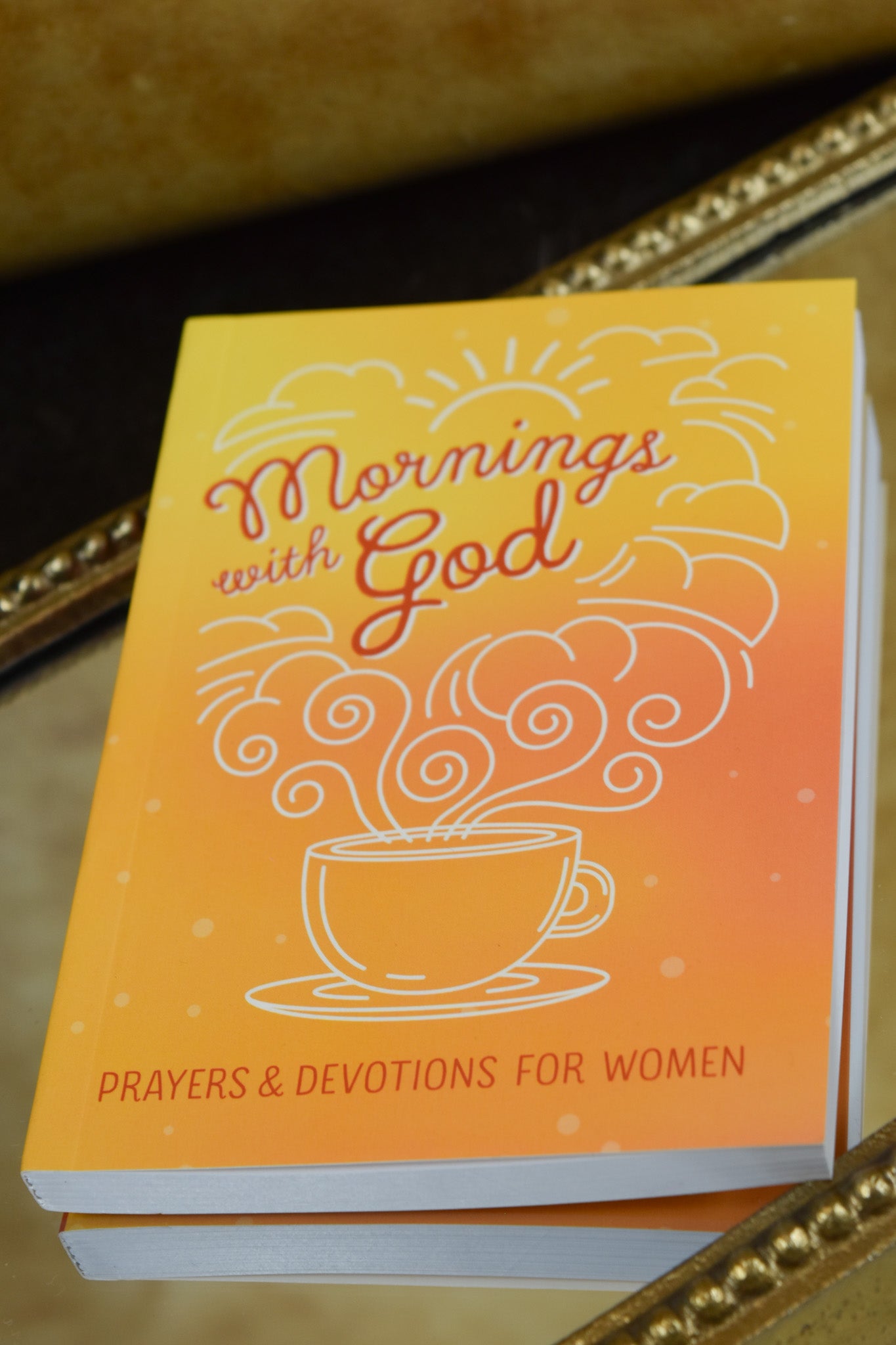 Mornings With God Devotional Womens Book