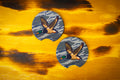 Mallard duck print car coasters