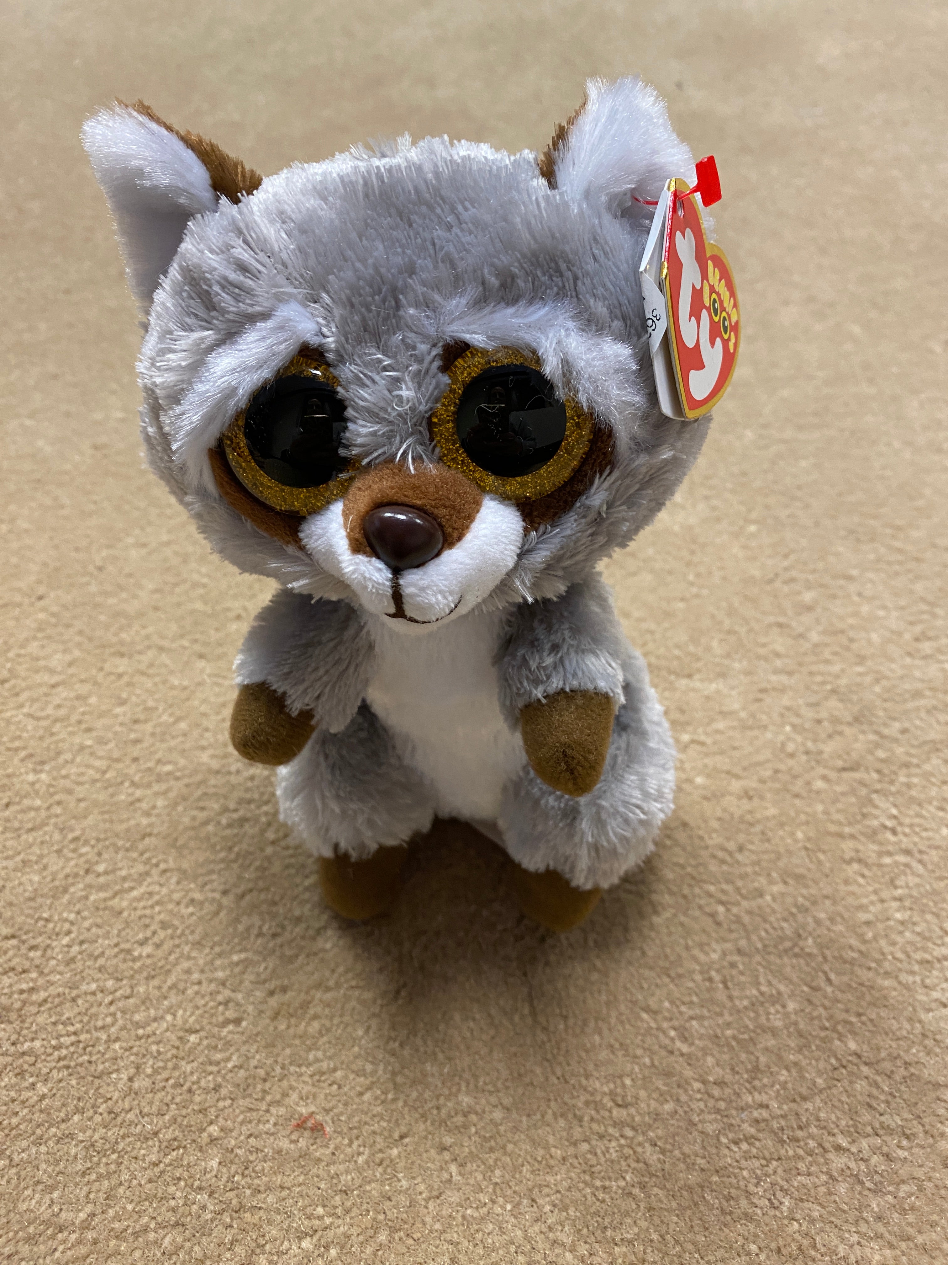 Racoon store beanie baby