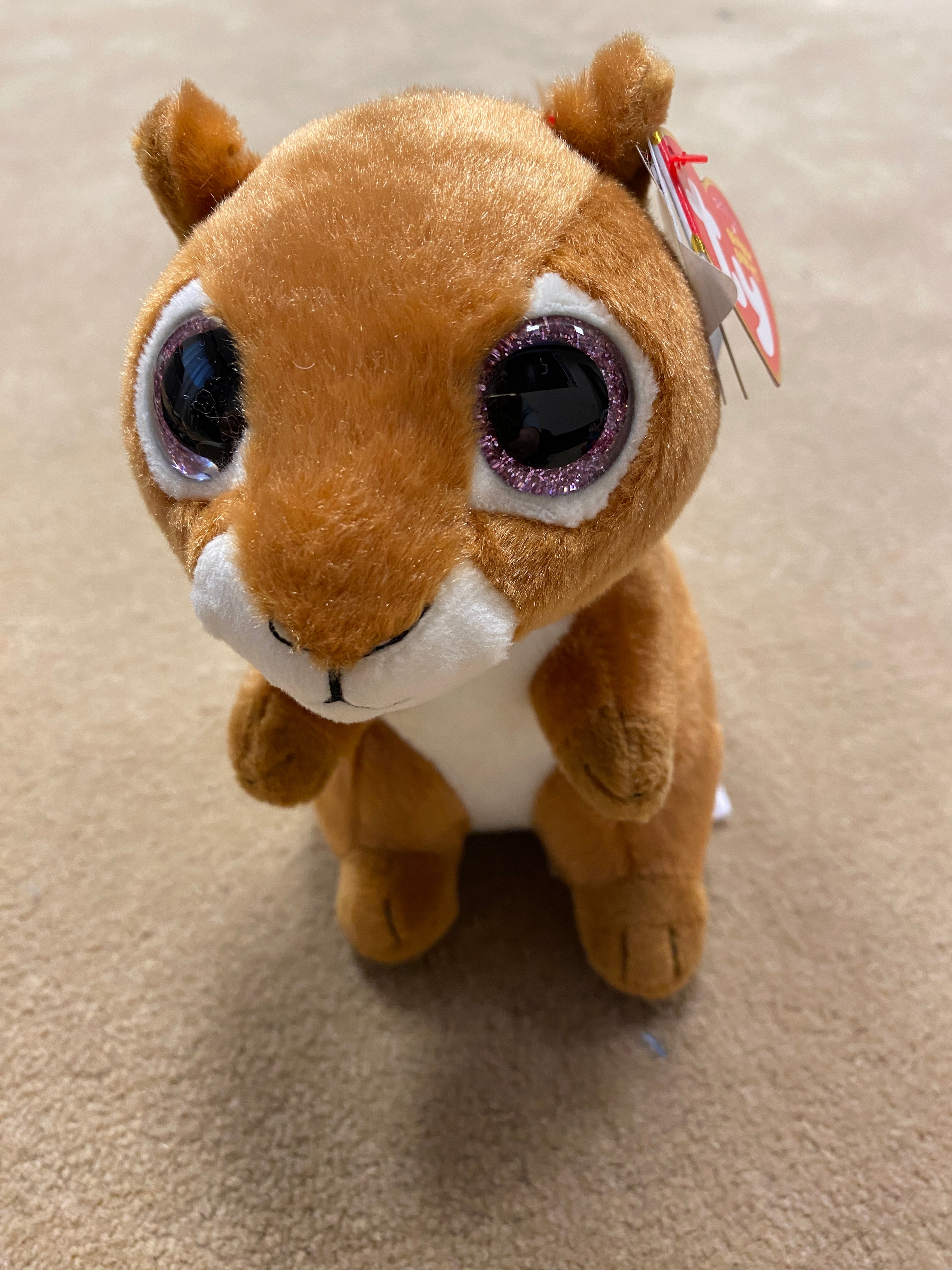 Squirrel store beanie boo