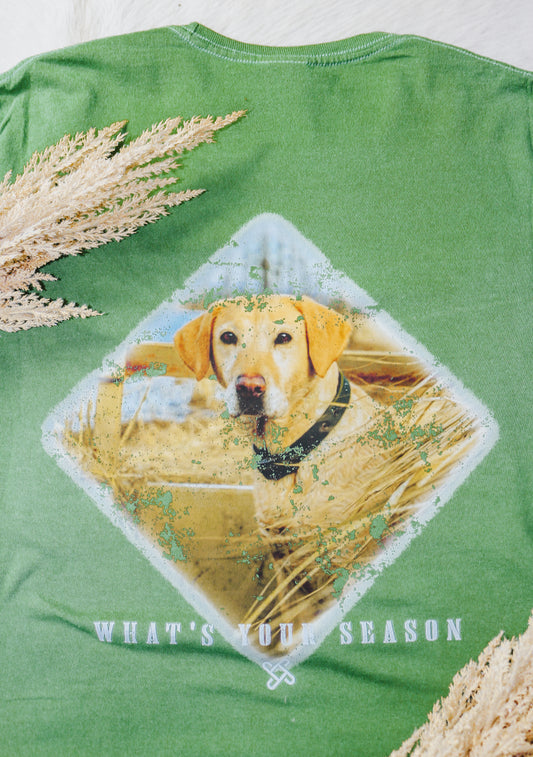 What's Your Season Safari Green Loyal Dog Tee