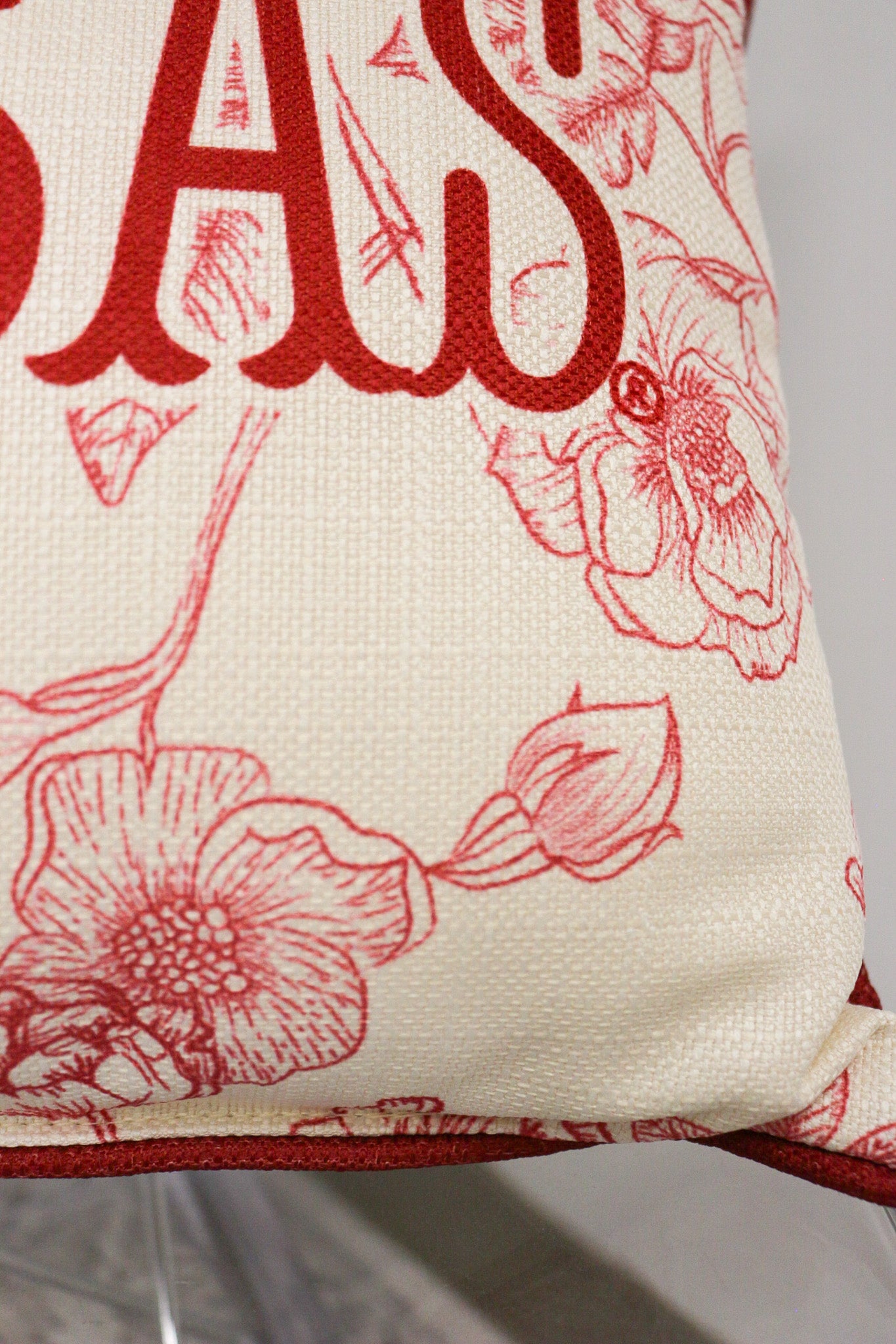 Arkansas Toile Throw Pillow