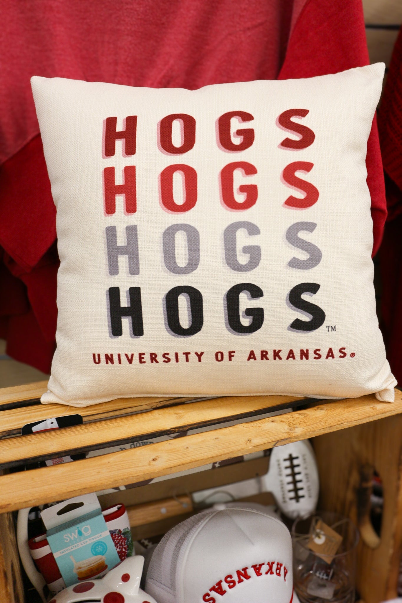 AR Hogs Gradient Throw Pillow