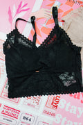 Skye Lace Bralette