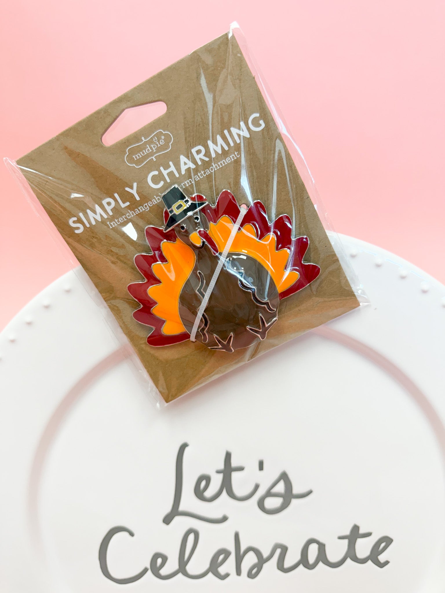 Simply Charming interchangeable charm for bracelet