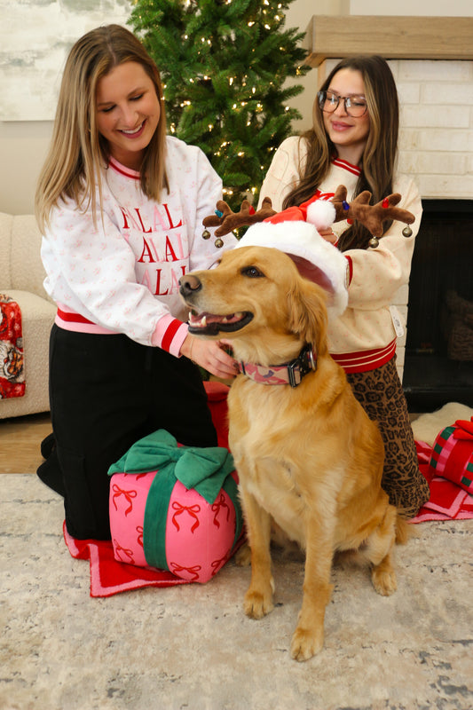 Holiday Dainty Floral Varsity Crewneck Sweatshirt -2 Colors