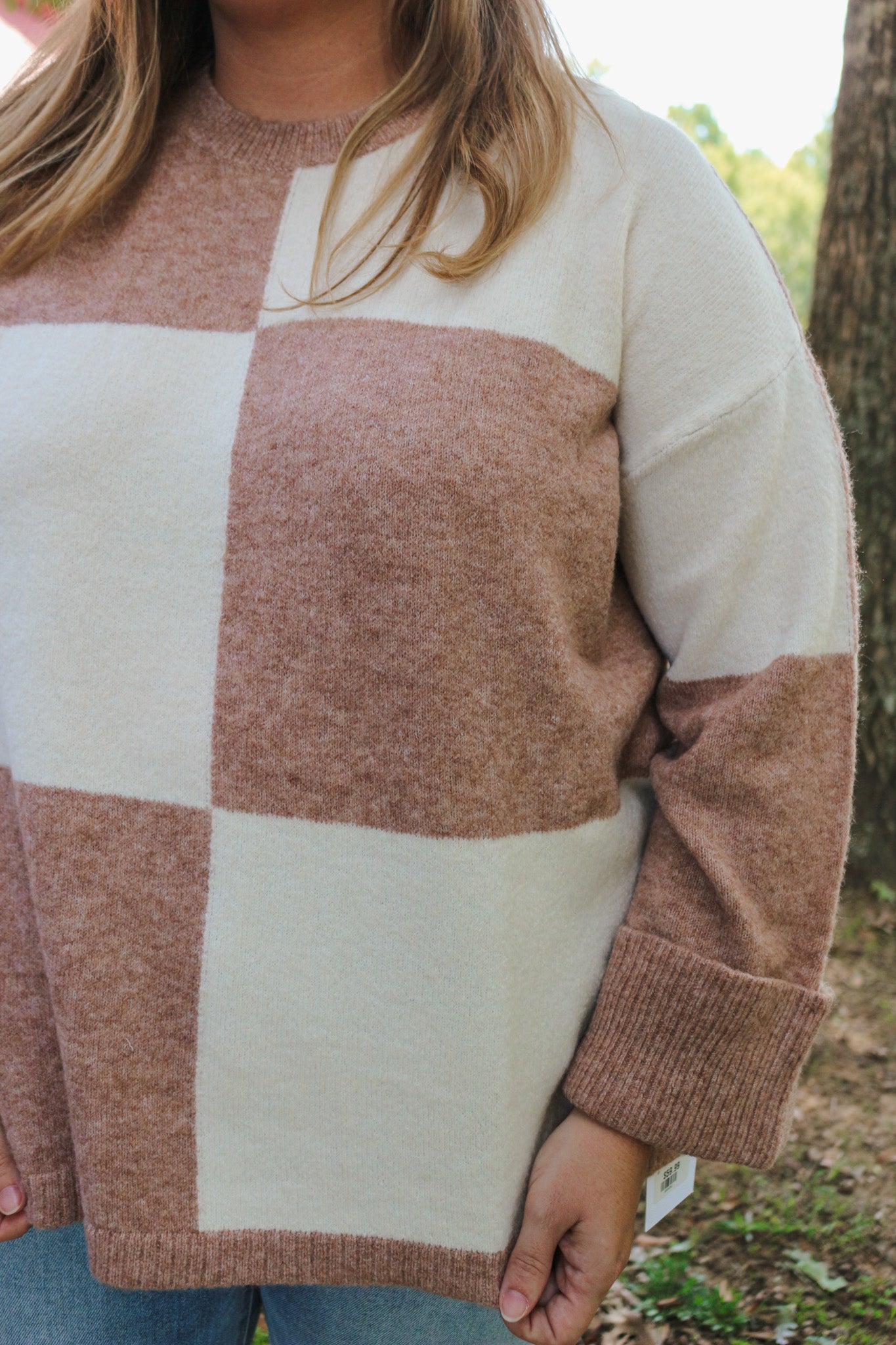 Autumn Upgrade Tan Checker Sweater