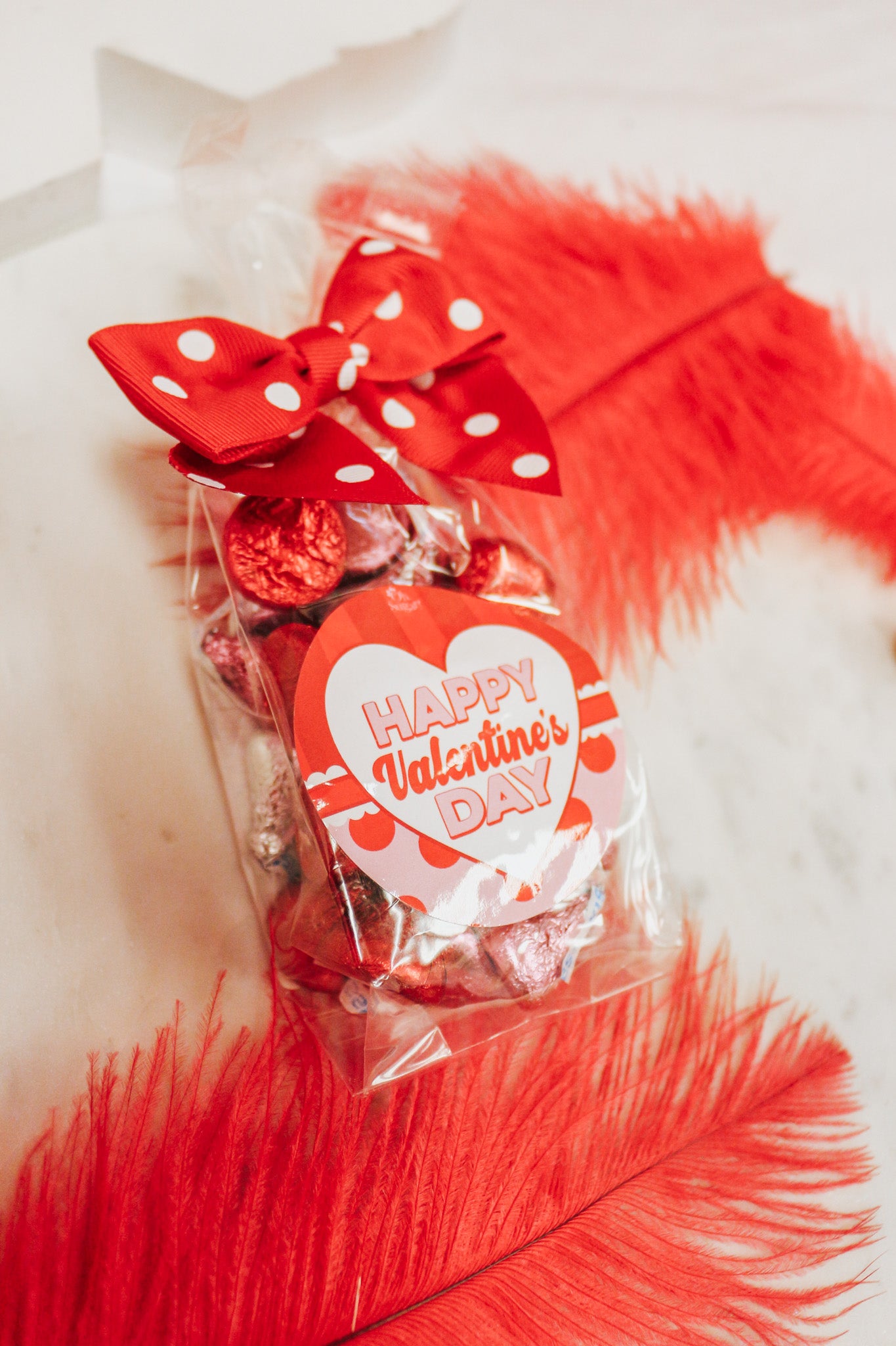 Valentine Chocolate Lovers Regular Treat Bags -3 Styles