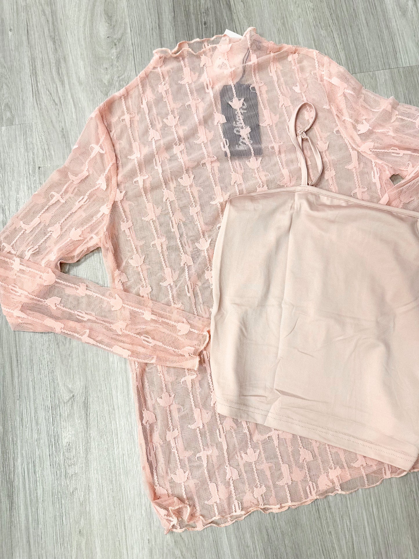 Layering Habits Dusty Pink Sheer Top