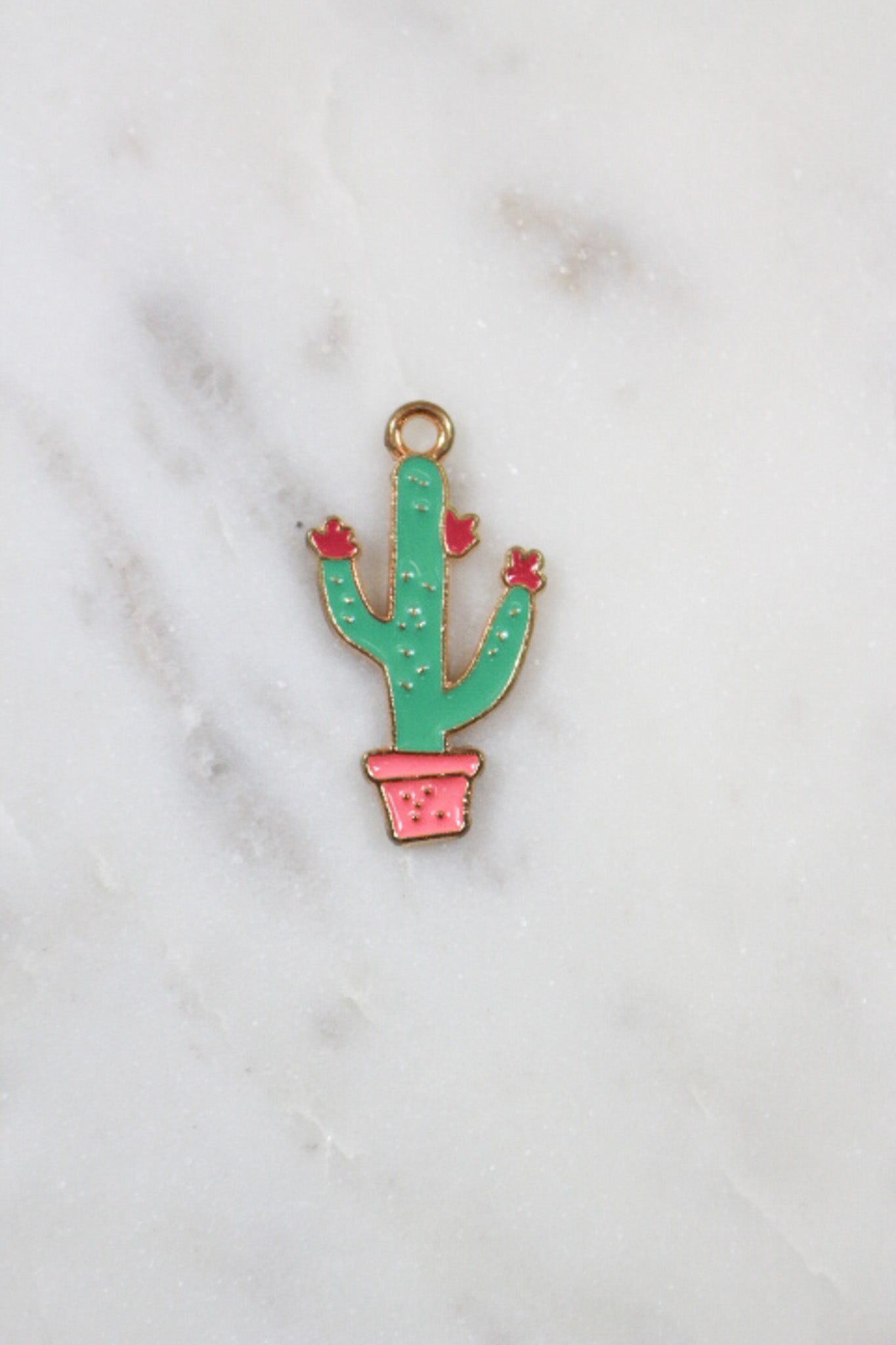 Cactus Pink Charm