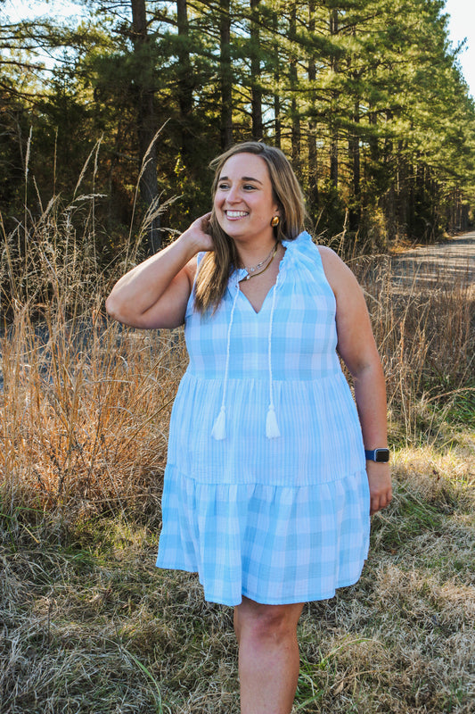 Coast To Coast Blue Gingham Dress