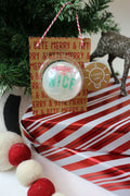 Christmas Light Up Ball Toy