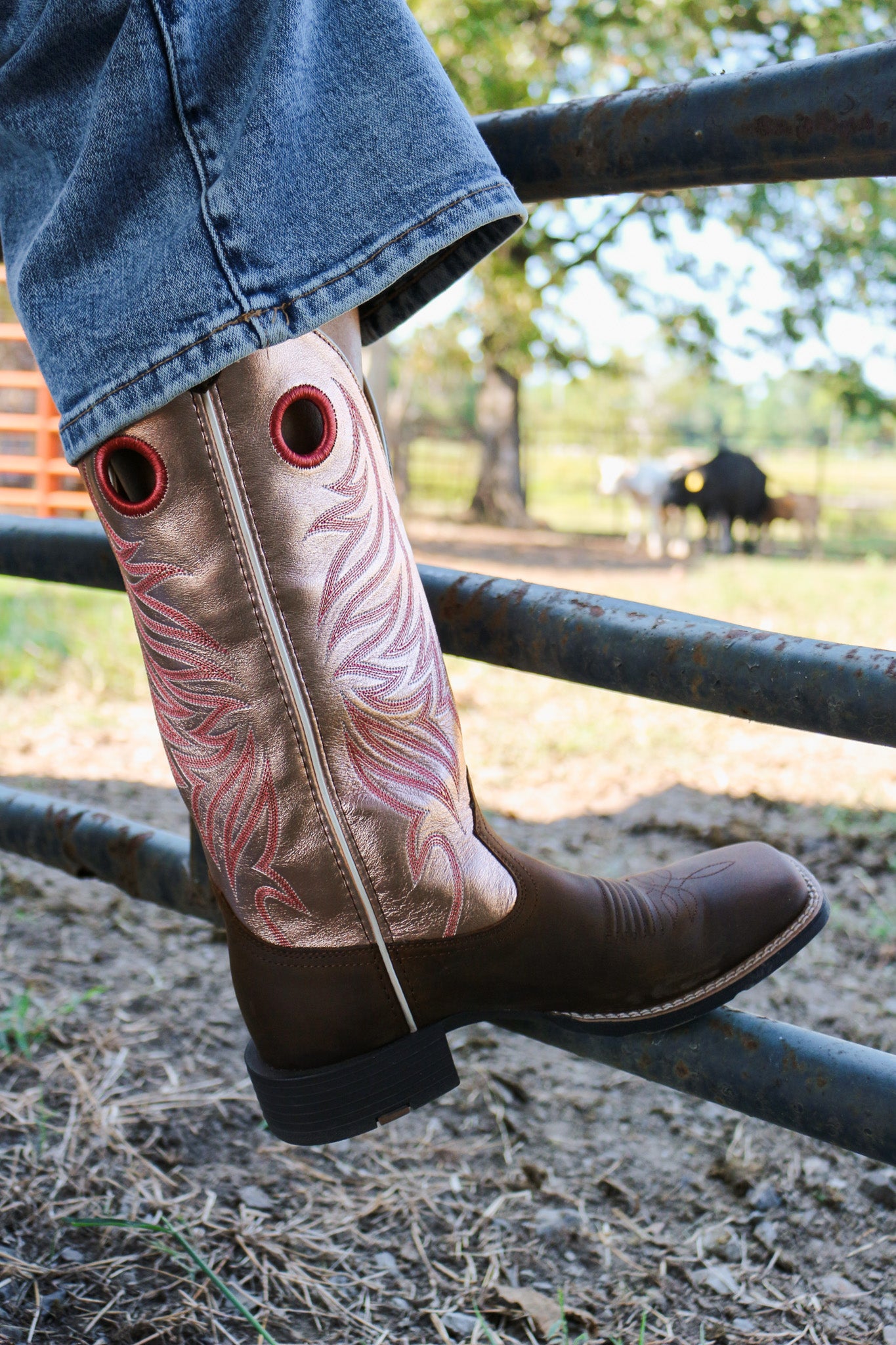 Brown Pink Round Up Ryder Western Ariat Boot