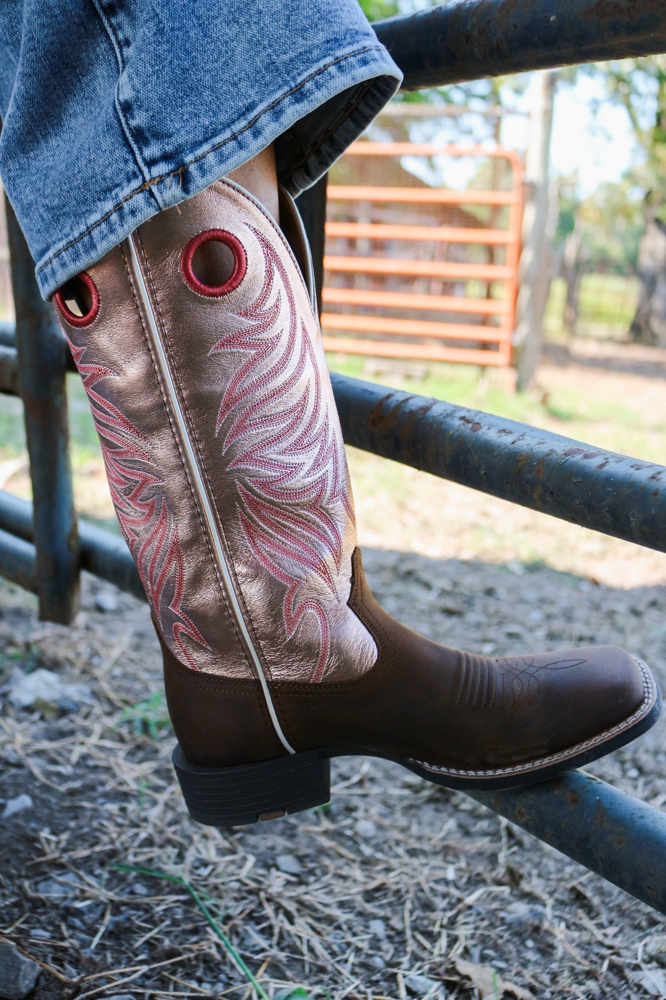 Brown Pink Round Up Ryder Western Ariat Boot Dales Clothing Inc