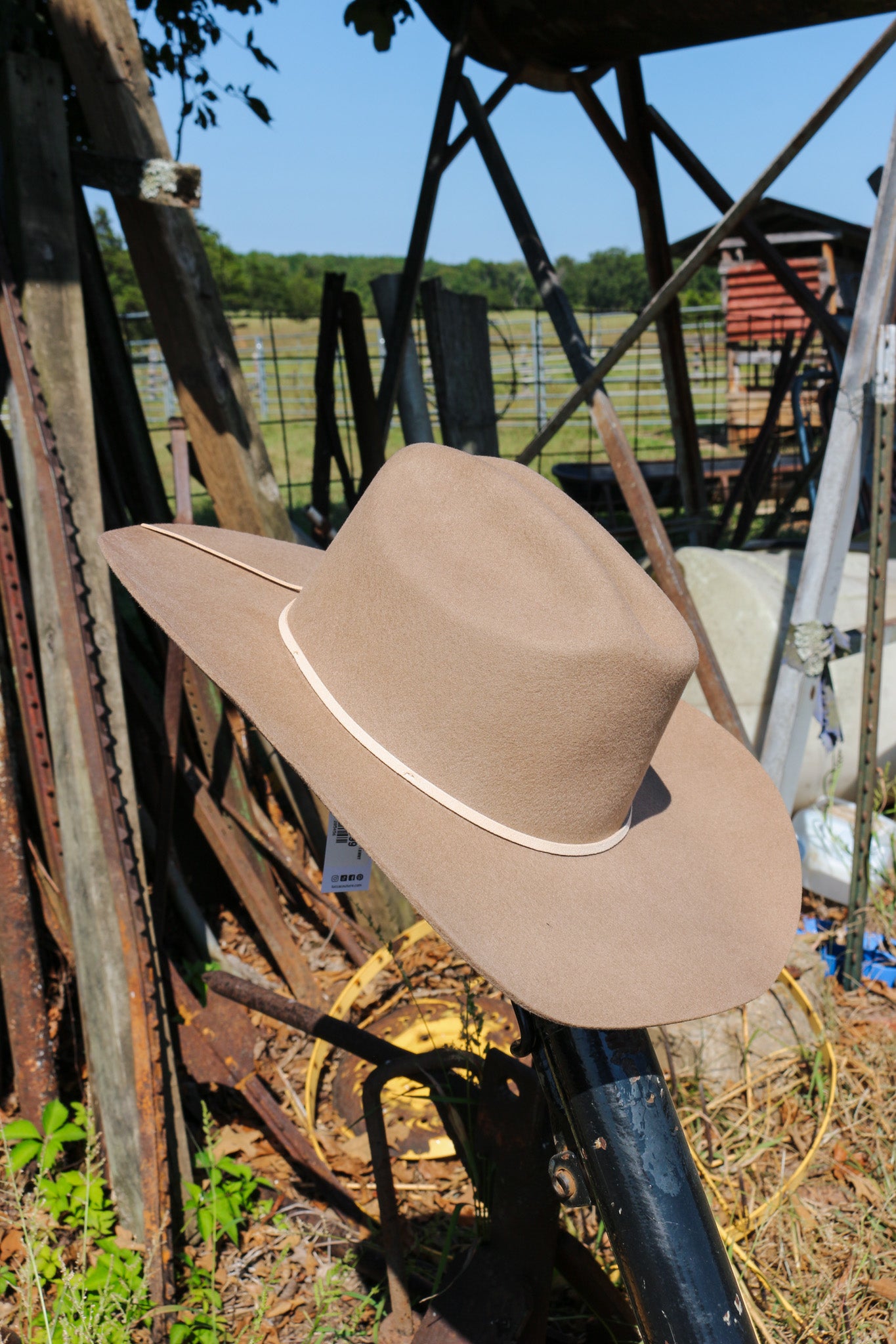 Tawny Augusta Wool Hat