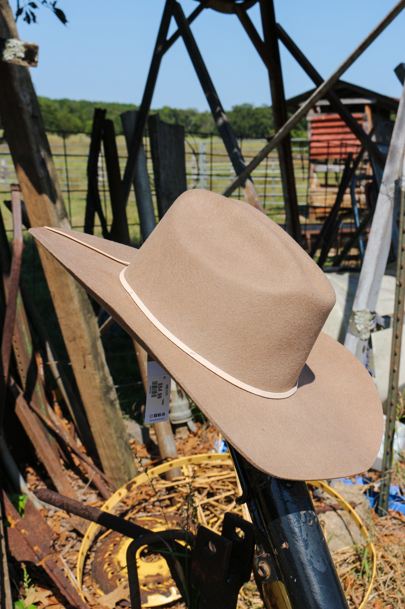 Tawny Augusta Wool Hat