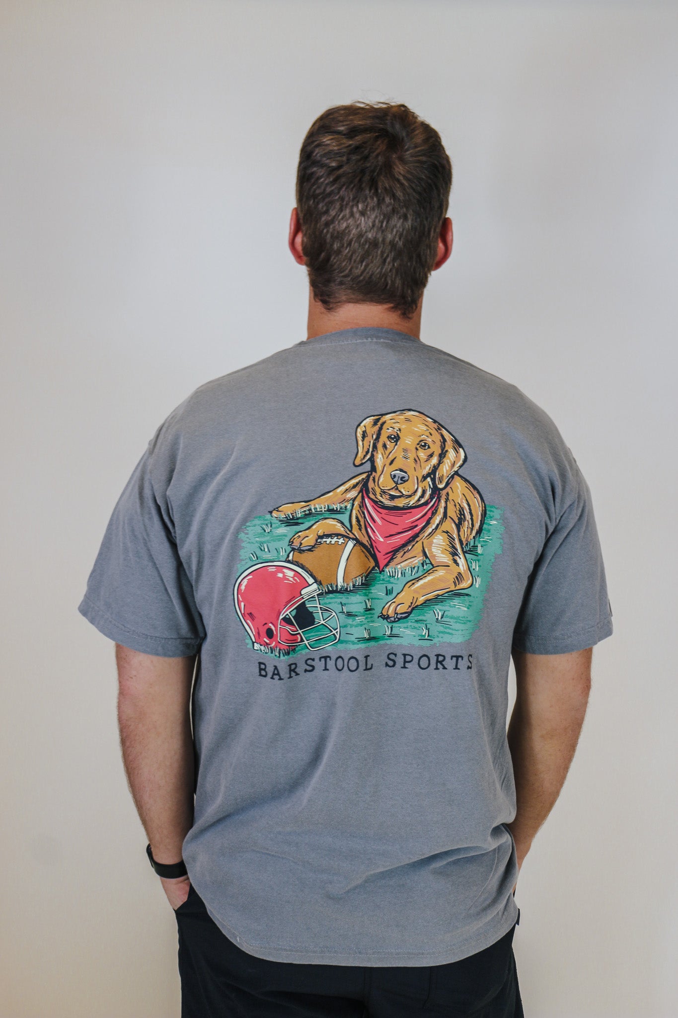 Football Dog Old Row Barstool Grey Tee