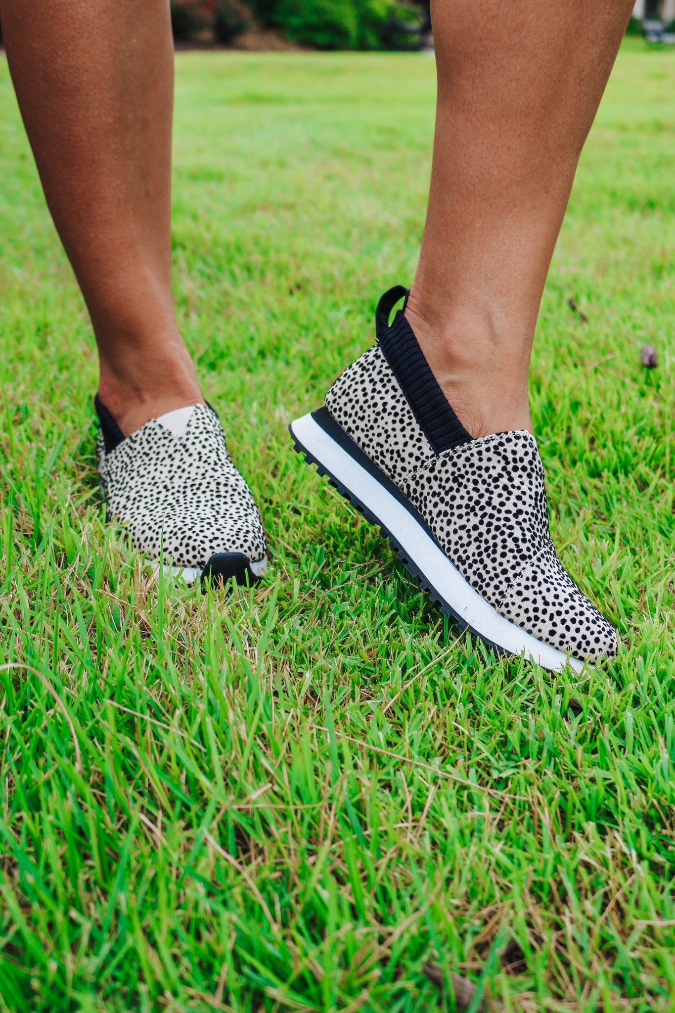 Women Alpargata Resident 2.0 Mini Cheetah Sneaker By Toms