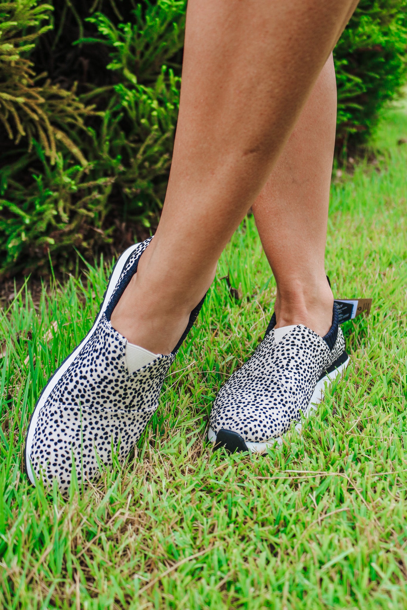 Women Alpargata Resident 2.0 Mini Cheetah Sneaker By Toms