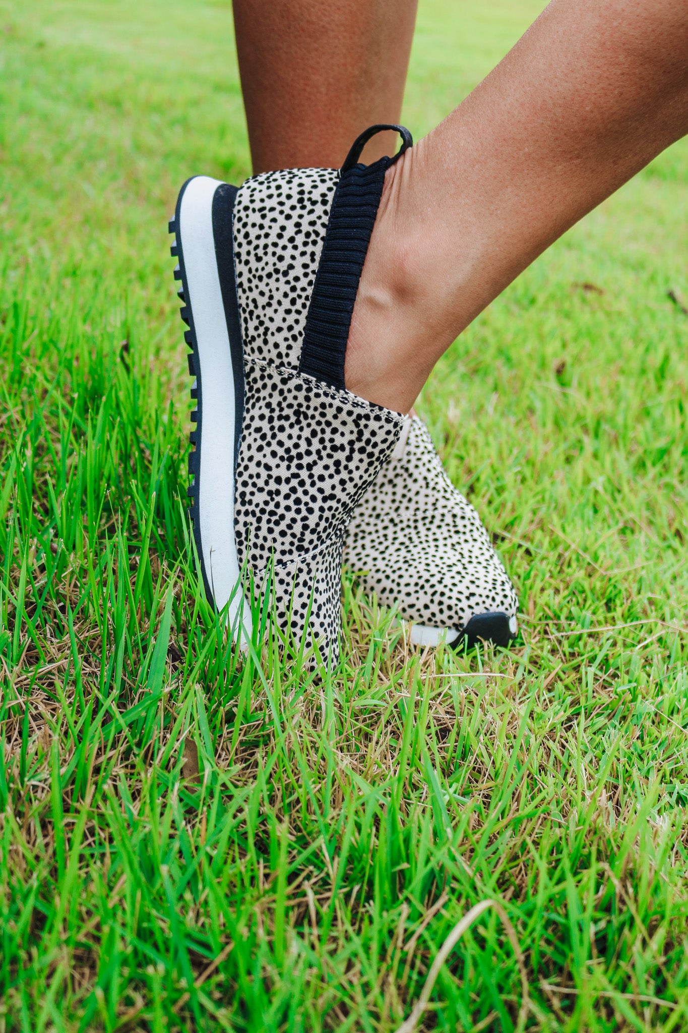 Women Alpargata Resident 2.0 Mini Cheetah Sneaker By Toms