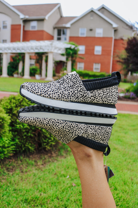 Women Alpargata Resident 2.0 Mini Cheetah Sneaker By Toms