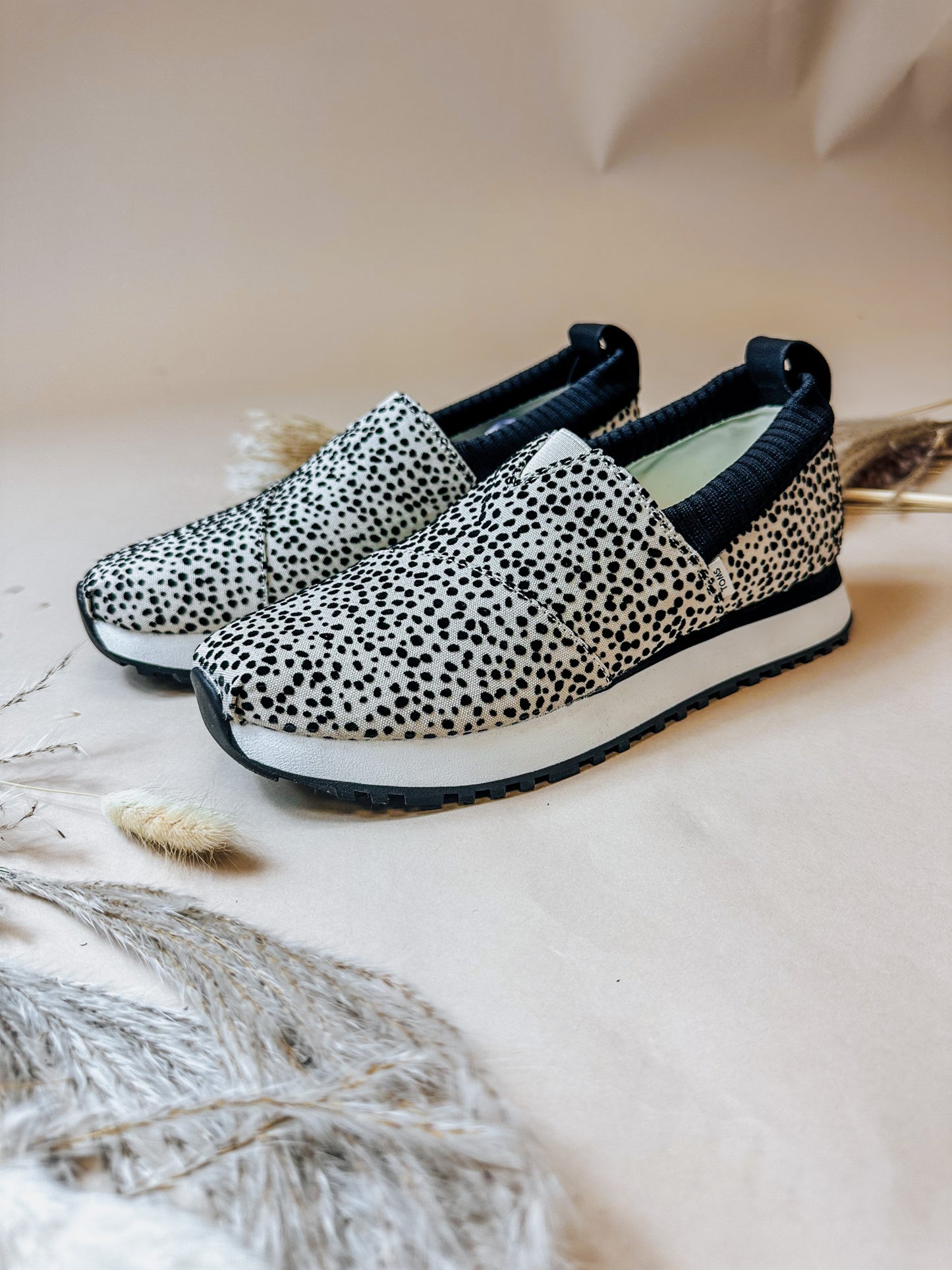 Women Alpargata Resident 2.0 Mini Cheetah Sneaker By Toms