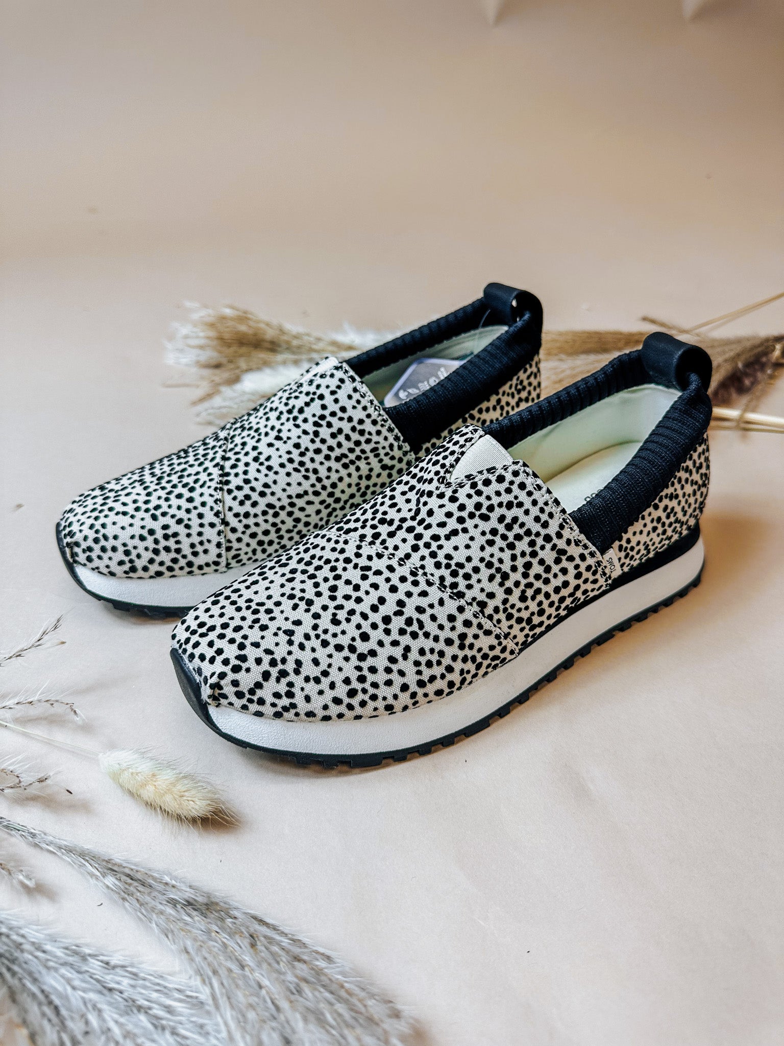 Women Alpargata Resident Mini Cheetah Sneaker By Toms – Dales